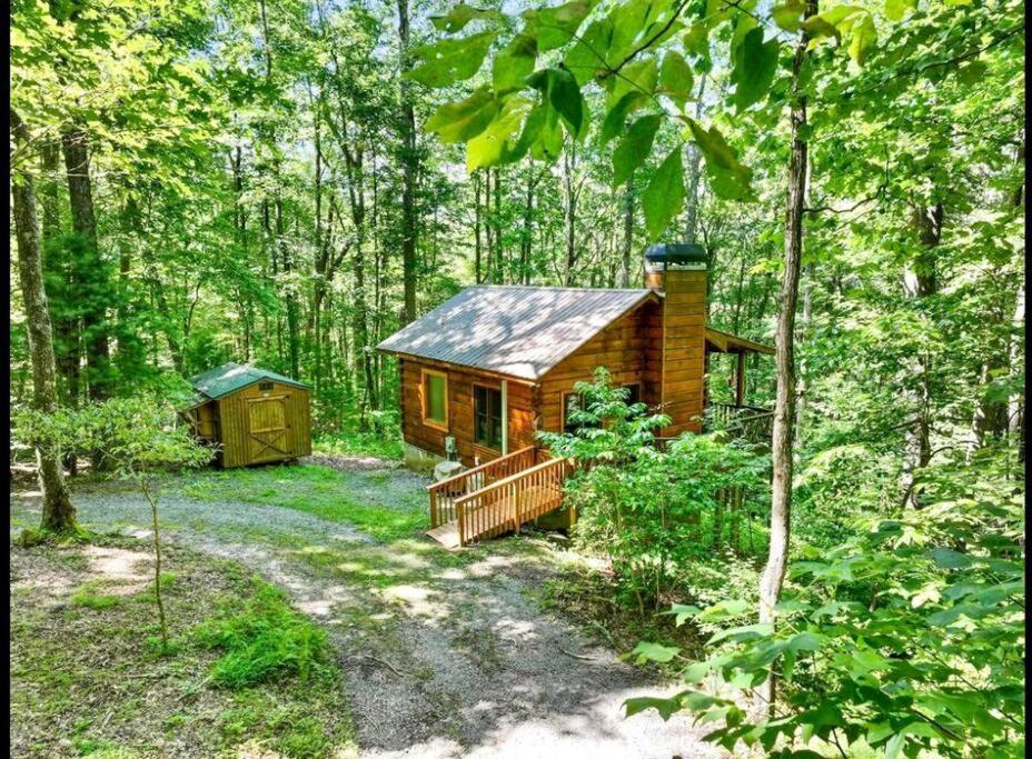 Open Studio Lodge At Little Rock Creek Cherry Log Exterior photo